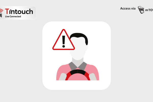 NEW URBAN CRUISER BATTERY EV