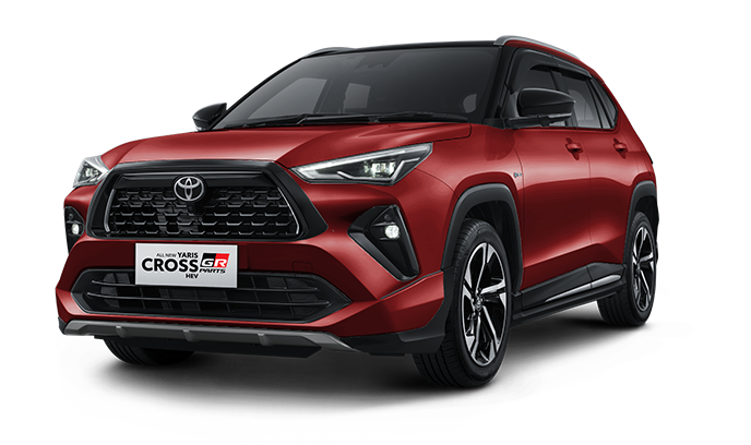 Dark Red M.M (spot order*)